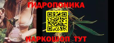 мдпв Берёзовский
