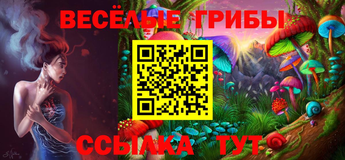 Галлюциногенные грибы GOLDEN TEACHER Касимов