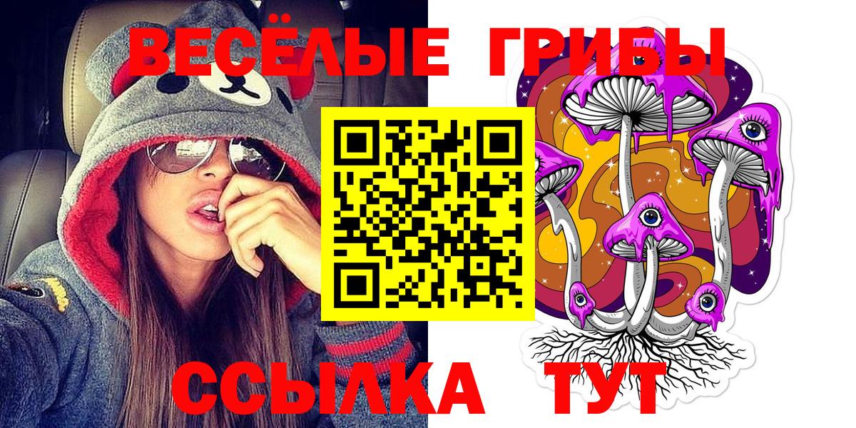 Касимов  Галлюциногенные грибы мухоморы  Псилоцибиновые грибы мицелий  сколько стоит  Вход с VPN 